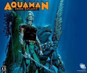 Puzzle Aquaman ήταν ένα από τα ιδρυτικά μέλη της ομάδας Justice League της Αμερικής ή JLA